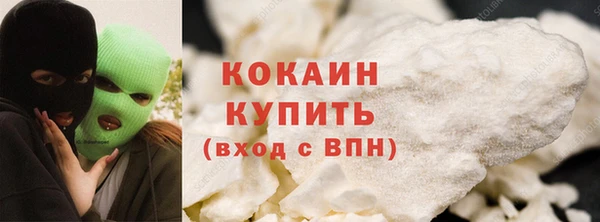 прущие грибы Беломорск