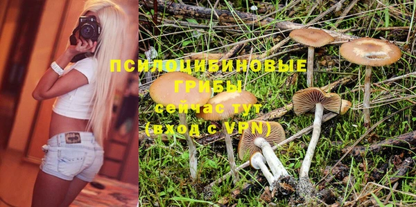 альфа пвп Богородицк