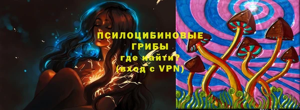 прущие грибы Беломорск