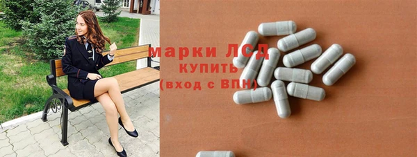 прущие грибы Беломорск