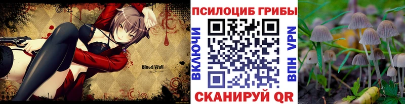 kraken как войти  Среднеуральск  Галлюциногенные грибы GOLDEN TEACHER  где можно купить  