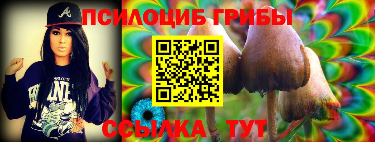 Галлюциногенные грибы прущие грибы Среднеуральск