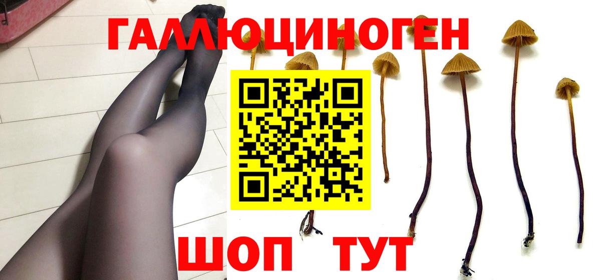 Среднеуральск  Галлюциногенные грибы GOLDEN TEACHER  Вход с VPN 